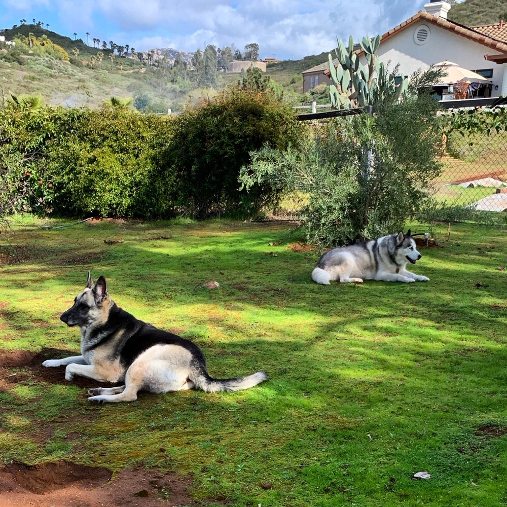 Meet your Posher, Anita